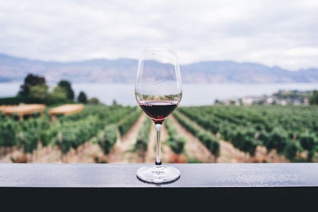 Cómo se hace el vino y qué decide su carácter final