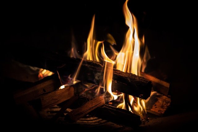 Cuál es la mejor leña para chimenea y cuál no quemar nunca
